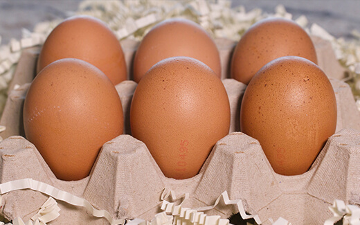 Marsh Farm Eggs